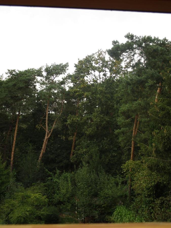 De Loteling Zoersel Exteriér fotografie